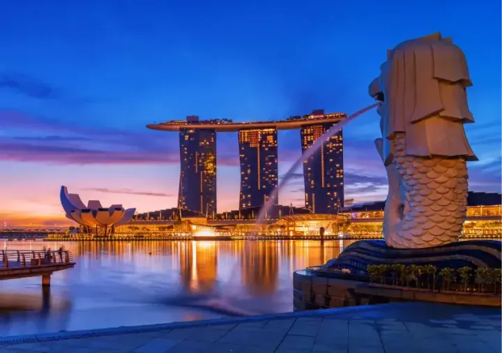 Bengaluru to Singapore Complete Guide to Travel Planning and Journey Preparation